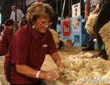 2014/2015国际羊毛时尚会在欧洲赛区举办