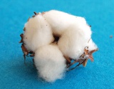 十月份全国新棉公检数量同比减少 主要质量指标“一降三升”